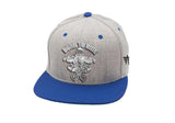 Born to ride Motorcycle Alumalids Hats