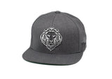 Lion Face Hat