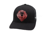 Lion Face Hat